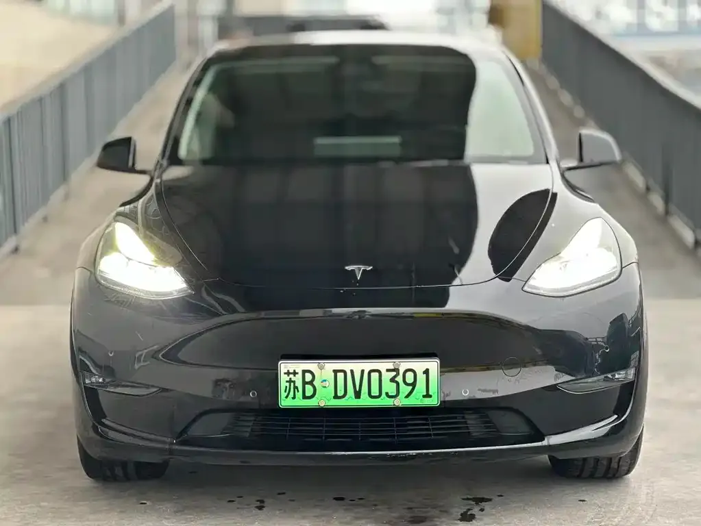 Tesla Model Y 2023 из CN, фото 2