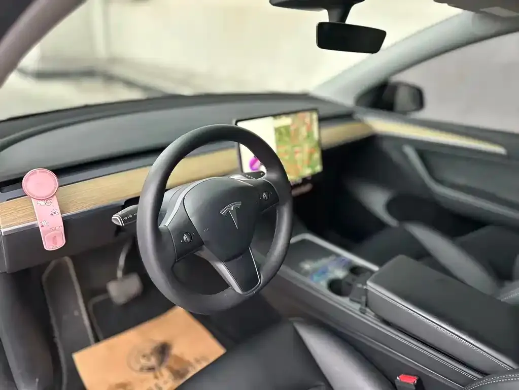 Tesla Model Y 2023 из CN, фото 5