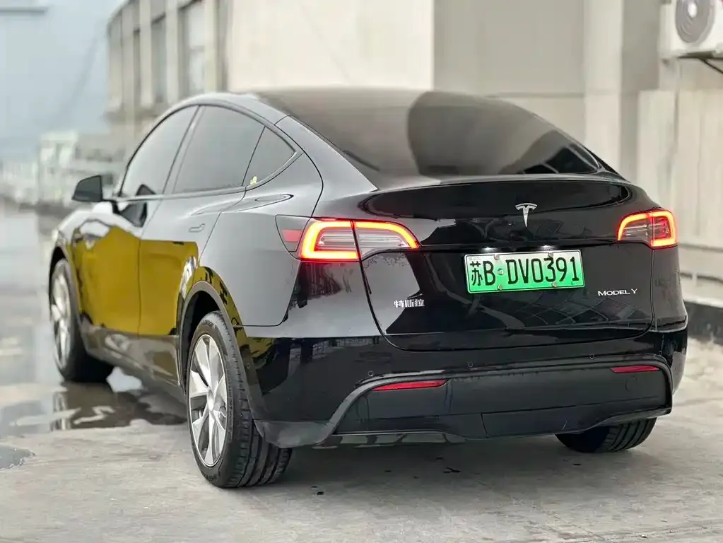 Tesla Model Y 2023 из CN, фото 9