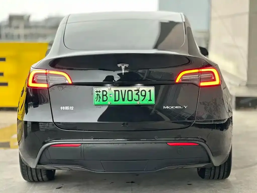Tesla Model Y 2023 из CN, фото 7
