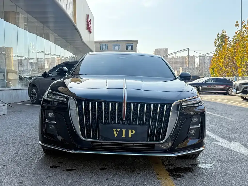 Hongqi H5 2024 из CN, фото 2