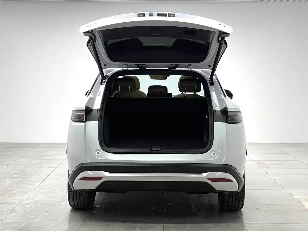 BYD L DM-i 2024 из CN, фото 5