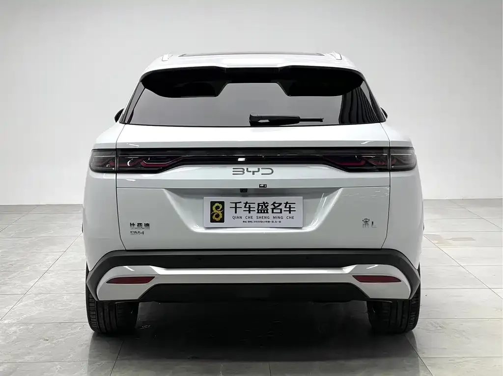 BYD L DM-i 2024 из CN, фото 7