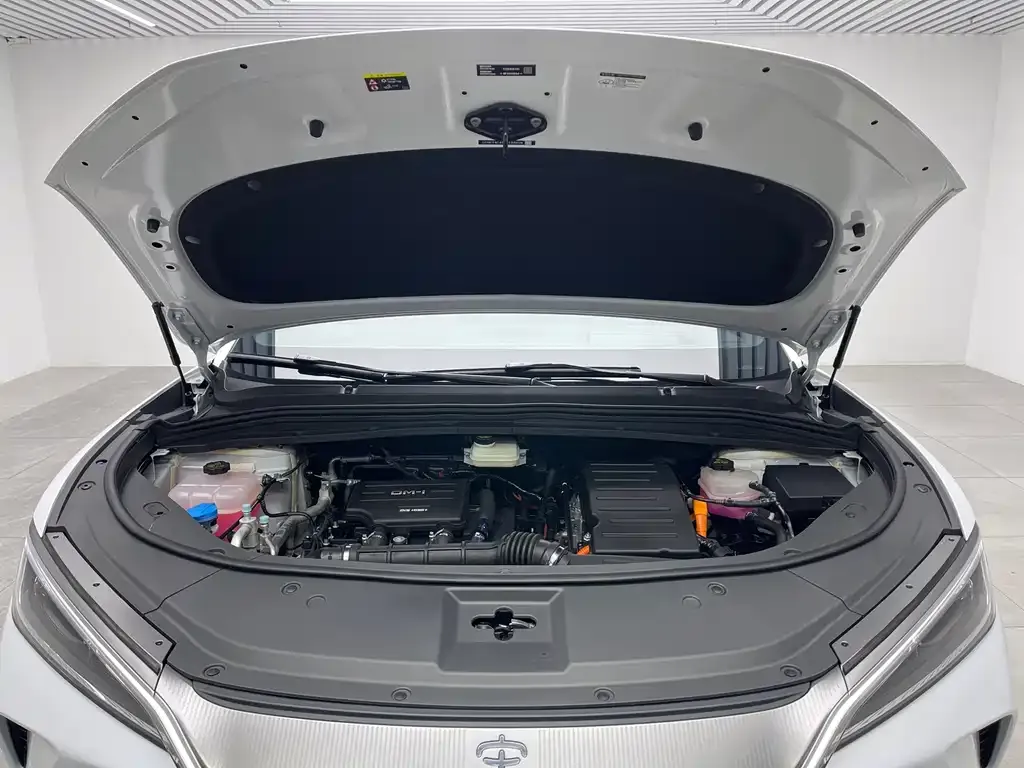 BYD L DM-i 2024 из CN, фото 9