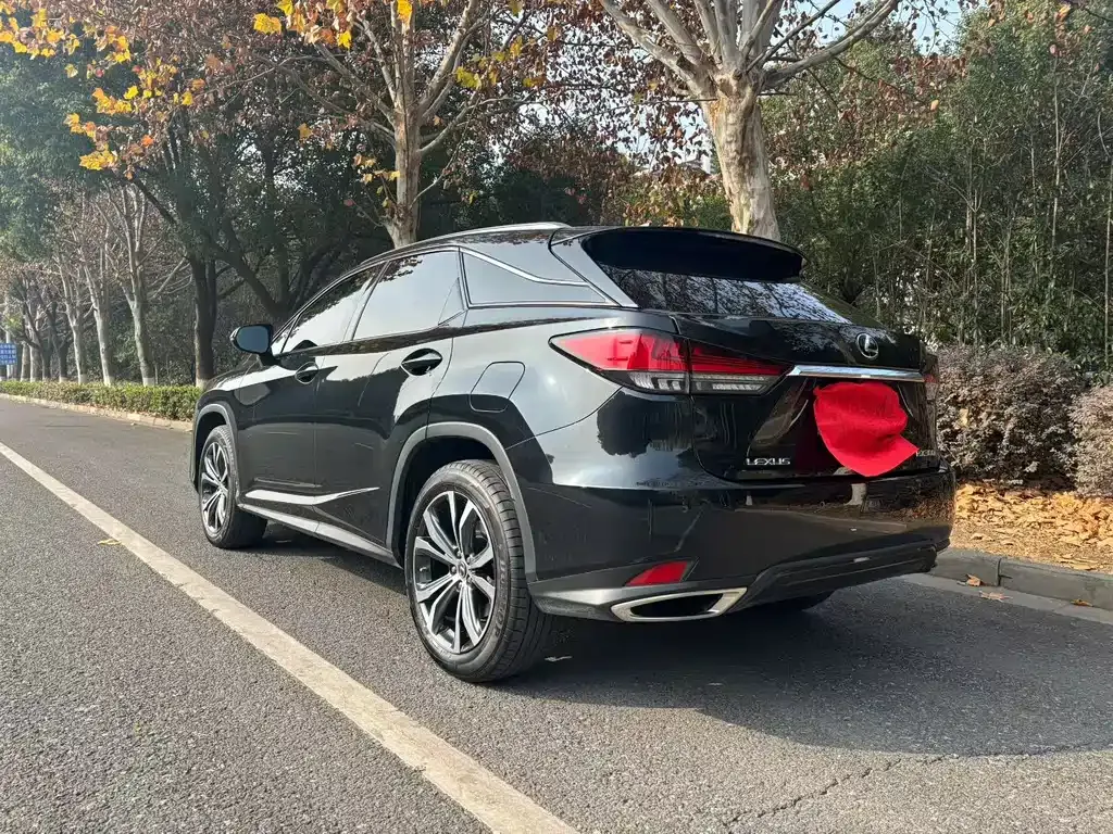 Lexus RX 2022 из CN, фото 9