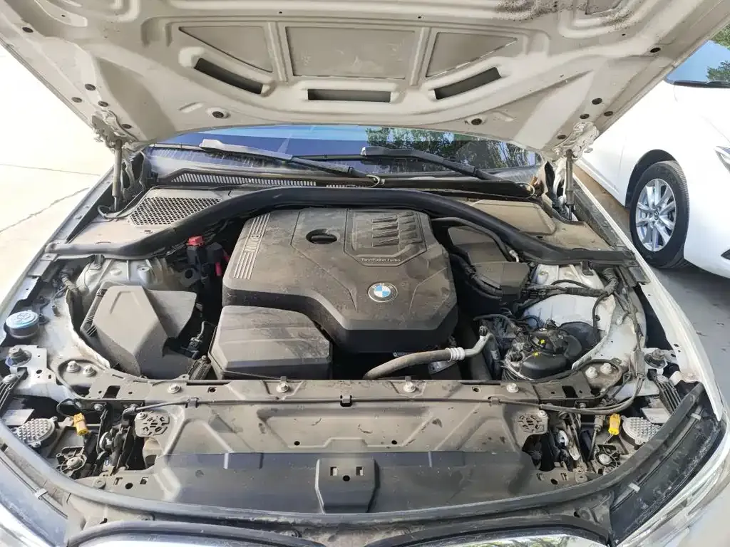 BMW 3 Series 2021 из CN, фото 9