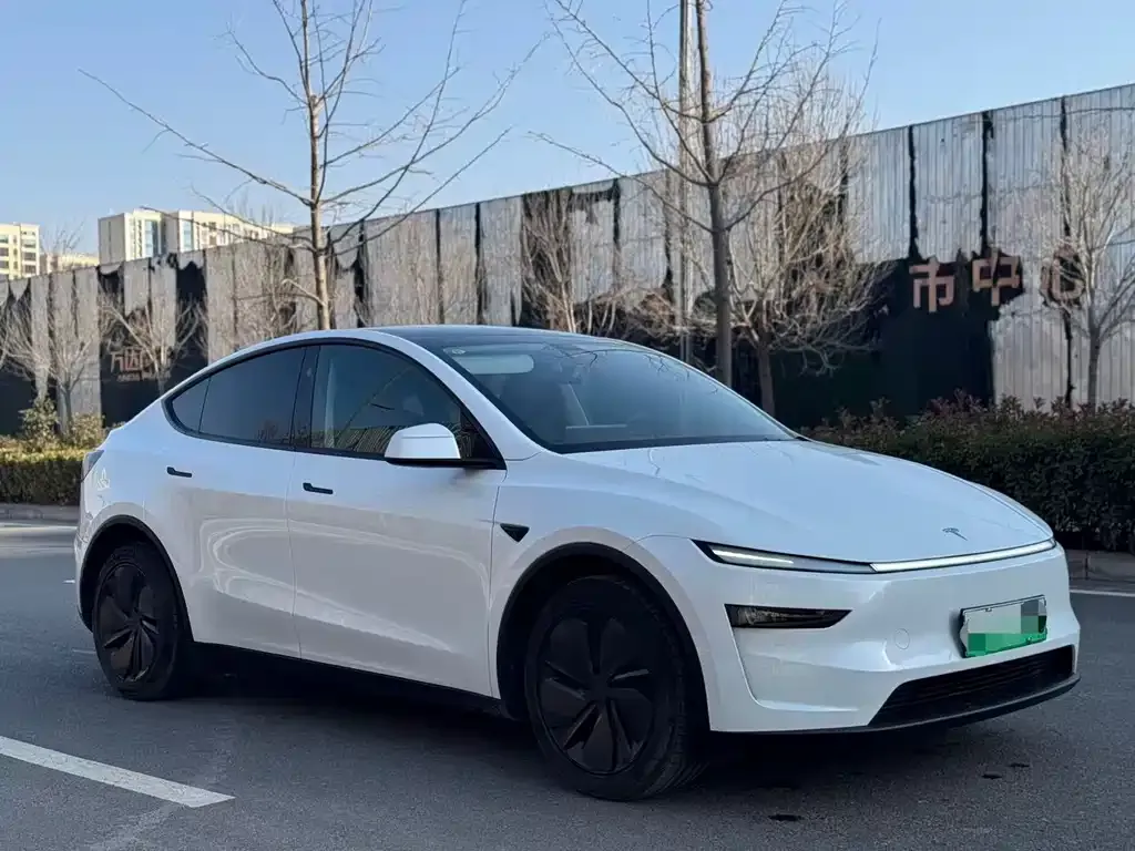 Tesla Model Y 2025 из CN, фото 7