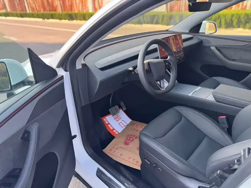 Tesla Model Y 2025 из CN, фото 8