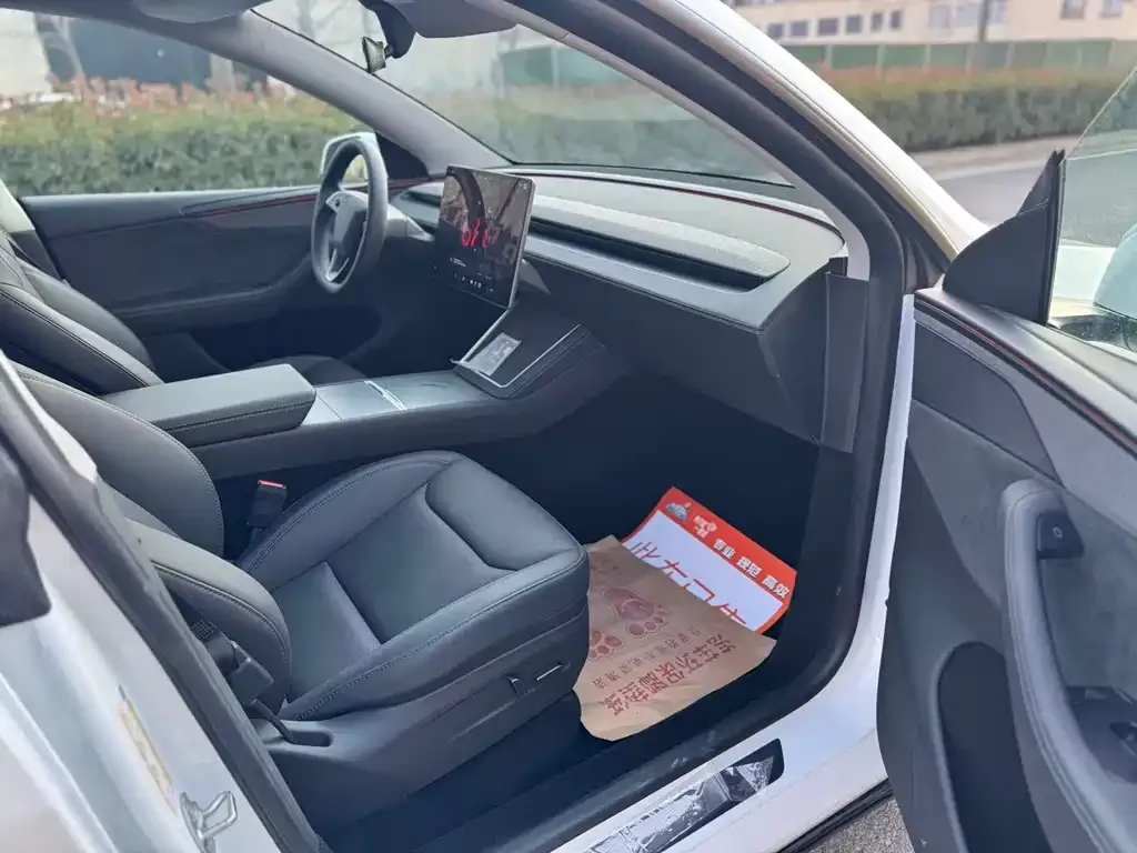 Tesla Model Y 2025 из CN, фото 4