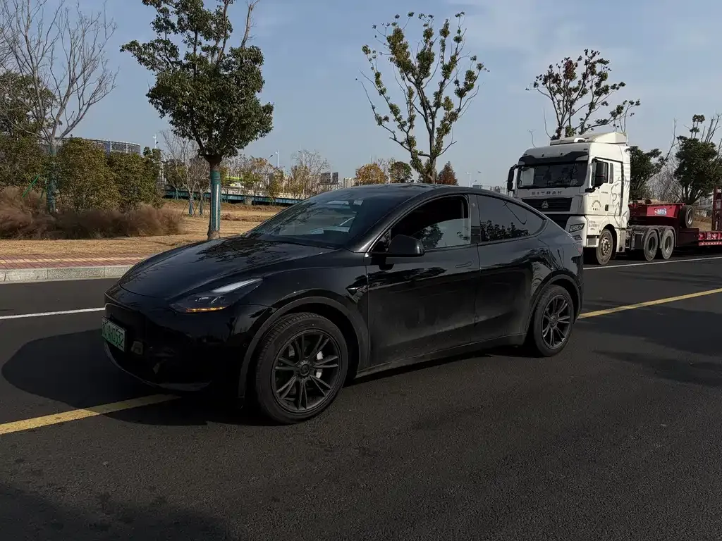 Tesla Model Y — фото 1
