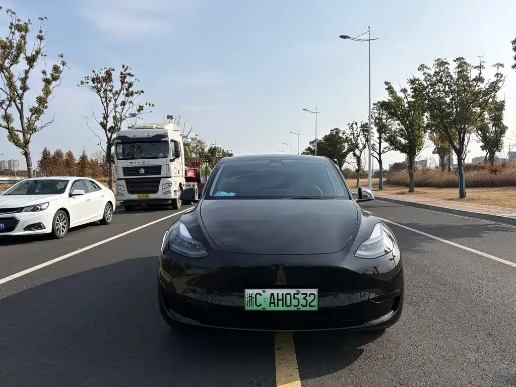 Tesla Model Y — фото 2