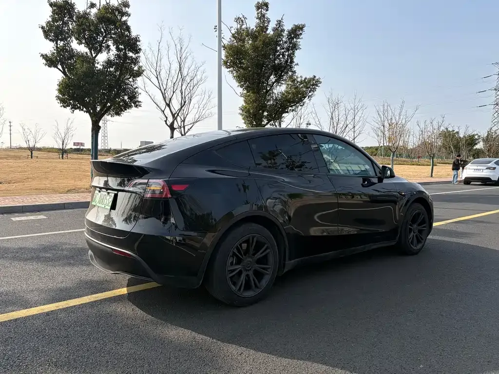 Tesla Model Y — фото 4