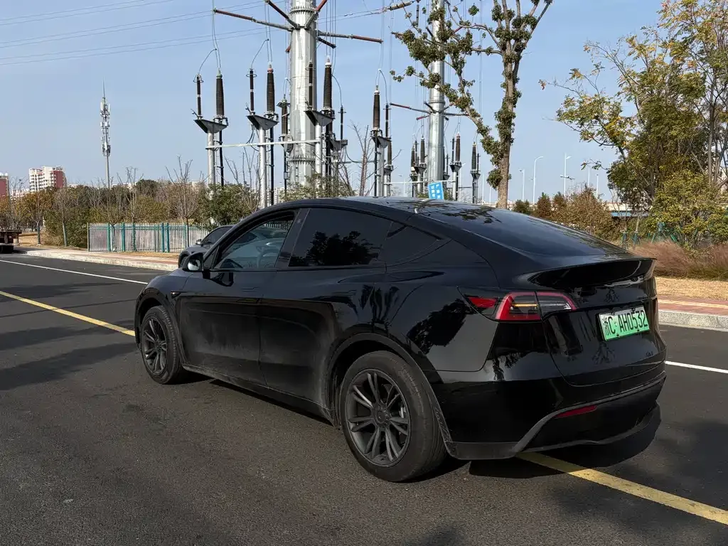 Tesla Model Y — фото 5