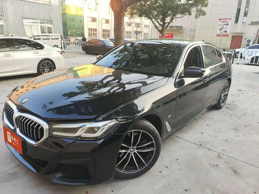 BMW 5 Series 2022 из CN, фото 1