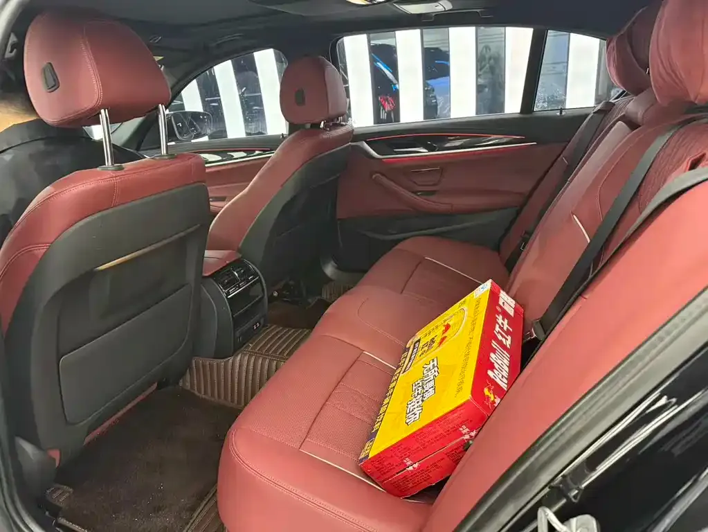 BMW 5 Series 2022 из CN, фото 5
