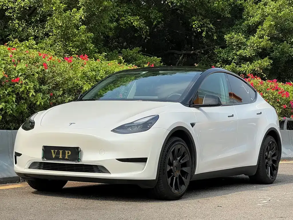 Tesla Model Y 2023 из CN, фото 1