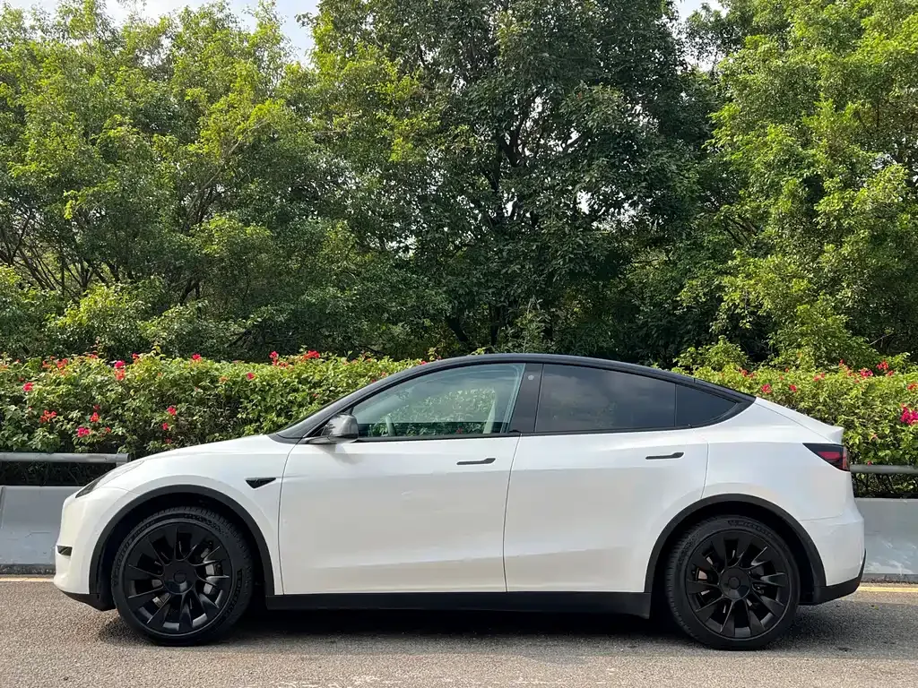 Tesla Model Y 2023 из CN, фото 7