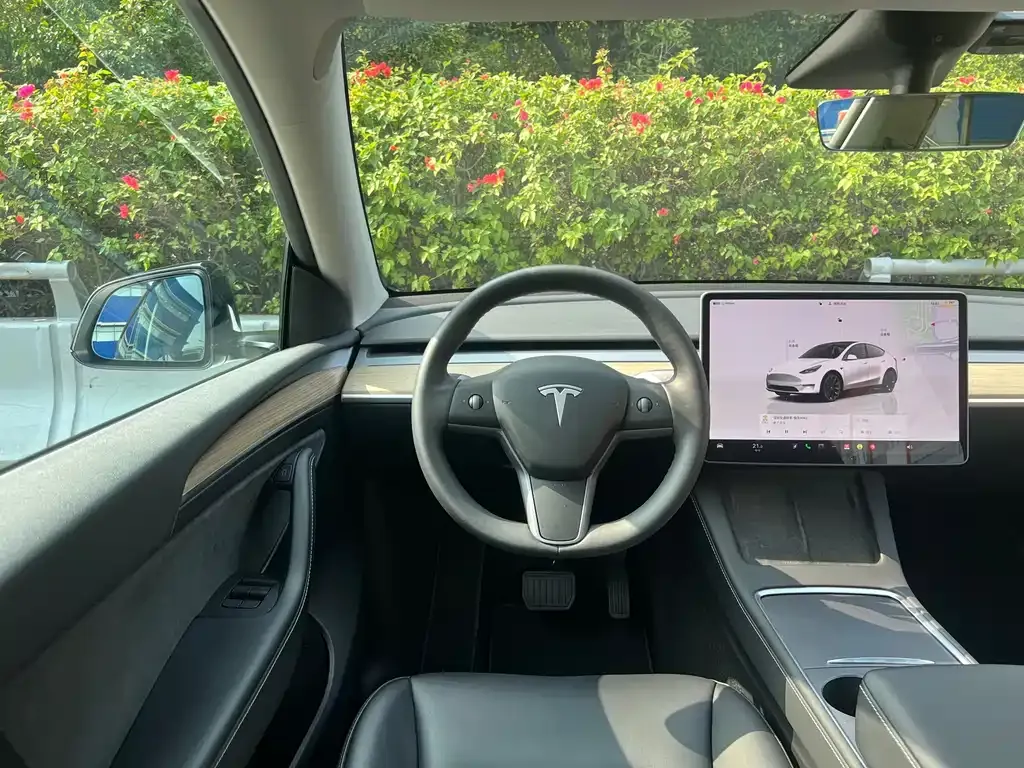 Tesla Model Y 2023 из CN, фото 10