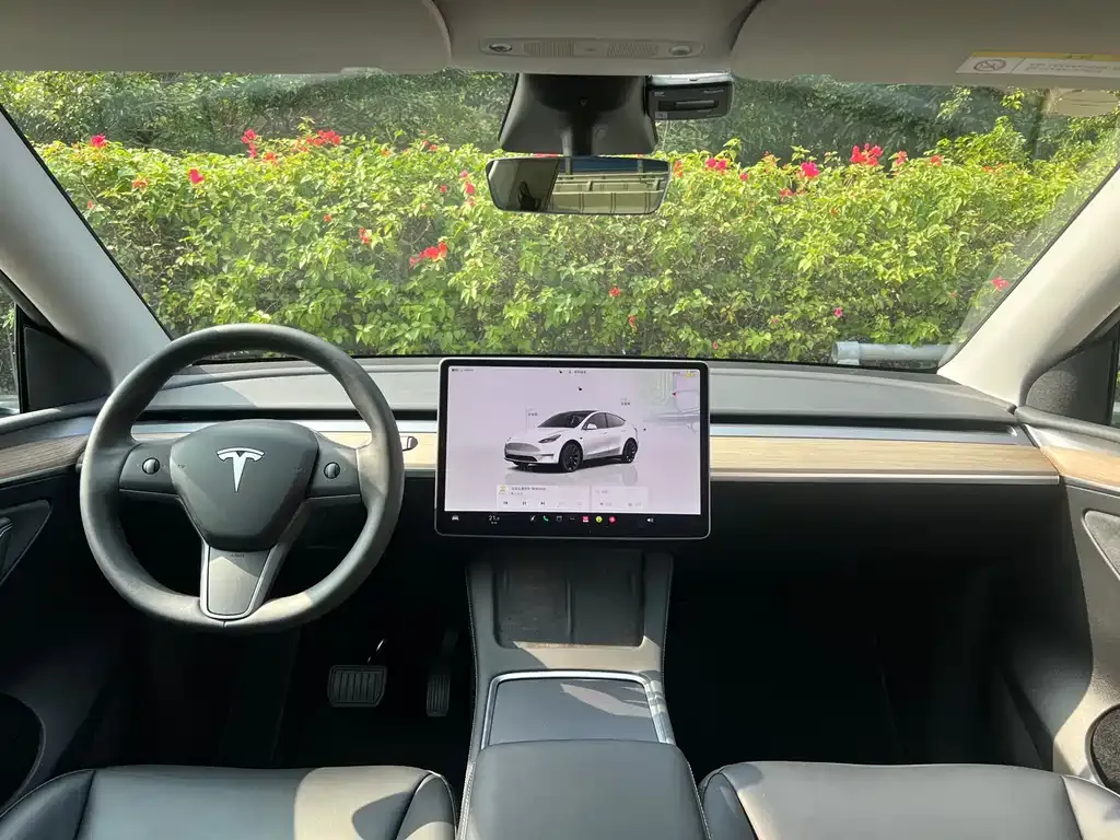 Tesla Model Y 2023 из CN, фото 4
