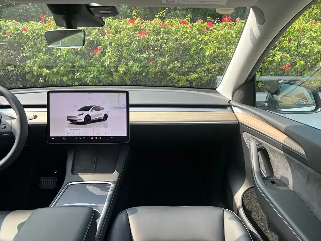 Tesla Model Y 2023 из CN, фото 5
