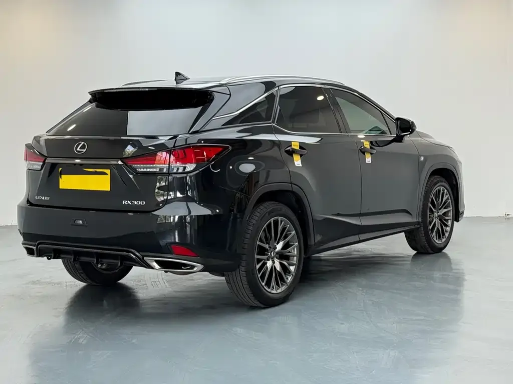 Lexus RX 2021 из CN, фото 7