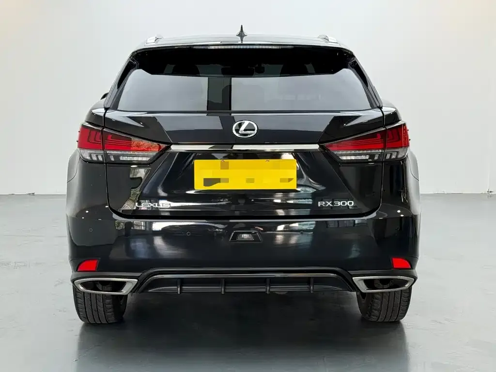 Lexus RX 2021 из CN, фото 2