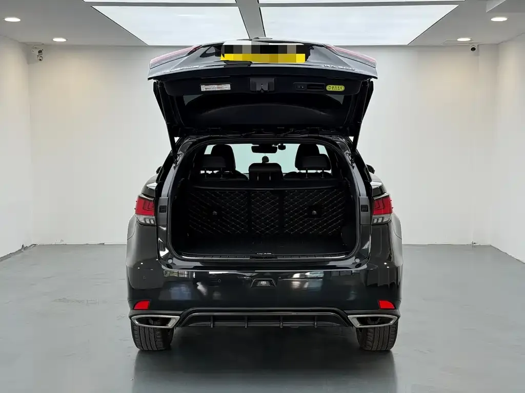 Lexus RX 2021 из CN, фото 3