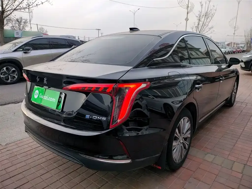 Hongqi E-QM5 2023 из CN, фото 10