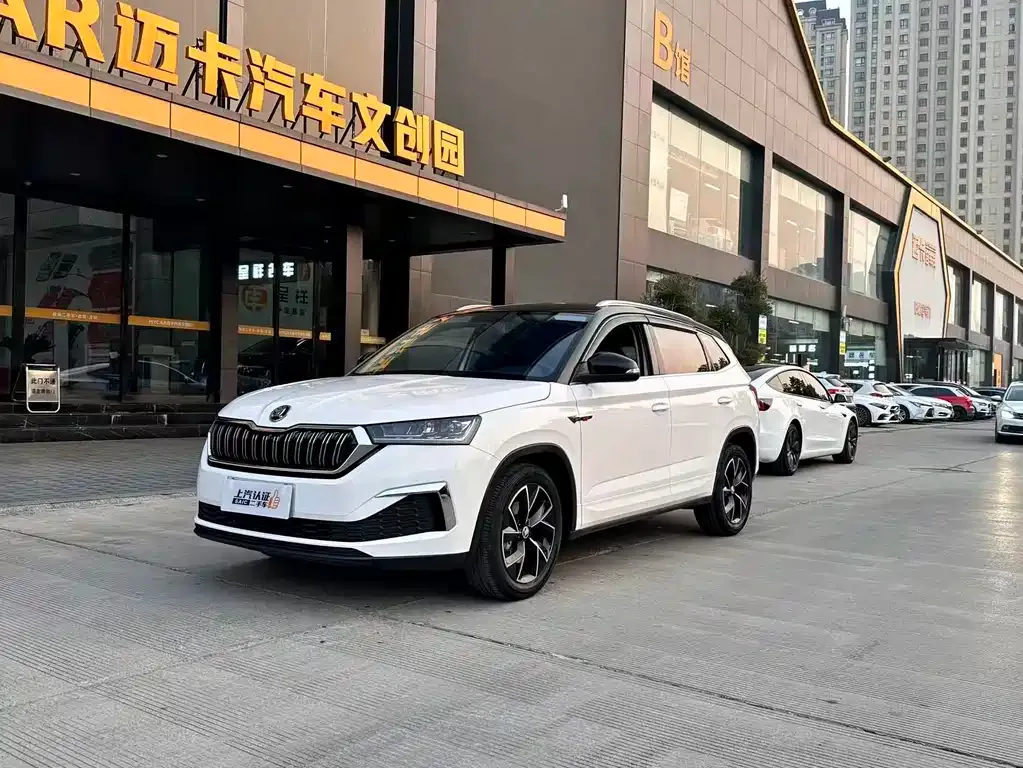 Skoda Kamiq 2022 из CN, фото 1