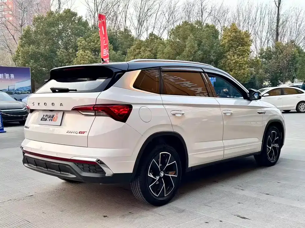 Skoda Kamiq 2022 из CN, фото 6