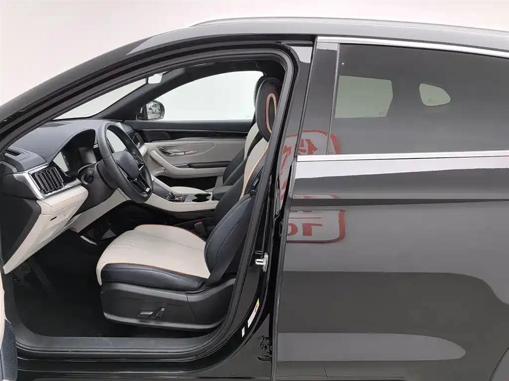 BYD PLUS New Energy 2024 из CN, фото 10