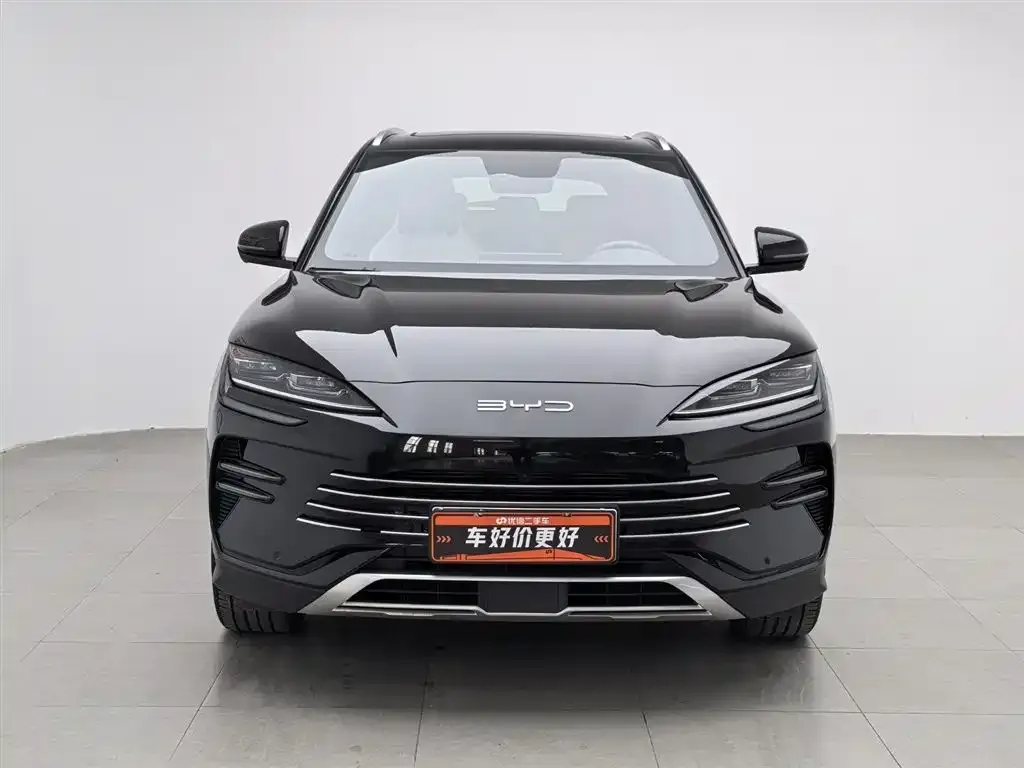 BYD PLUS New Energy 2024 из CN, фото 2