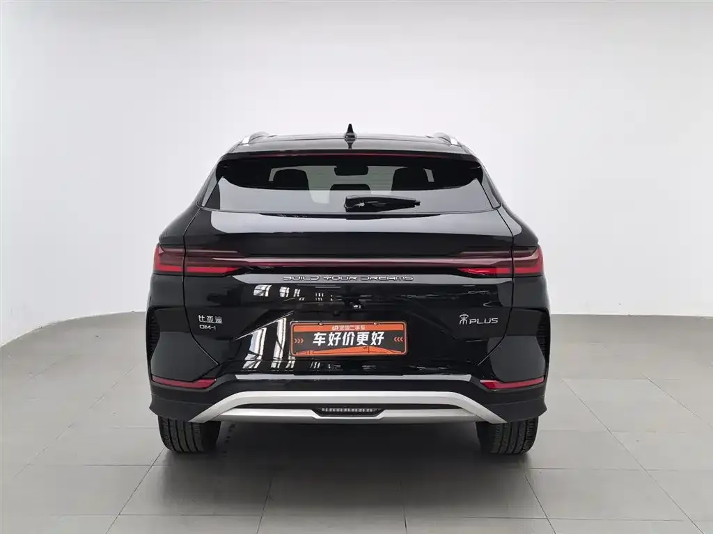 BYD PLUS New Energy 2024 из CN, фото 4