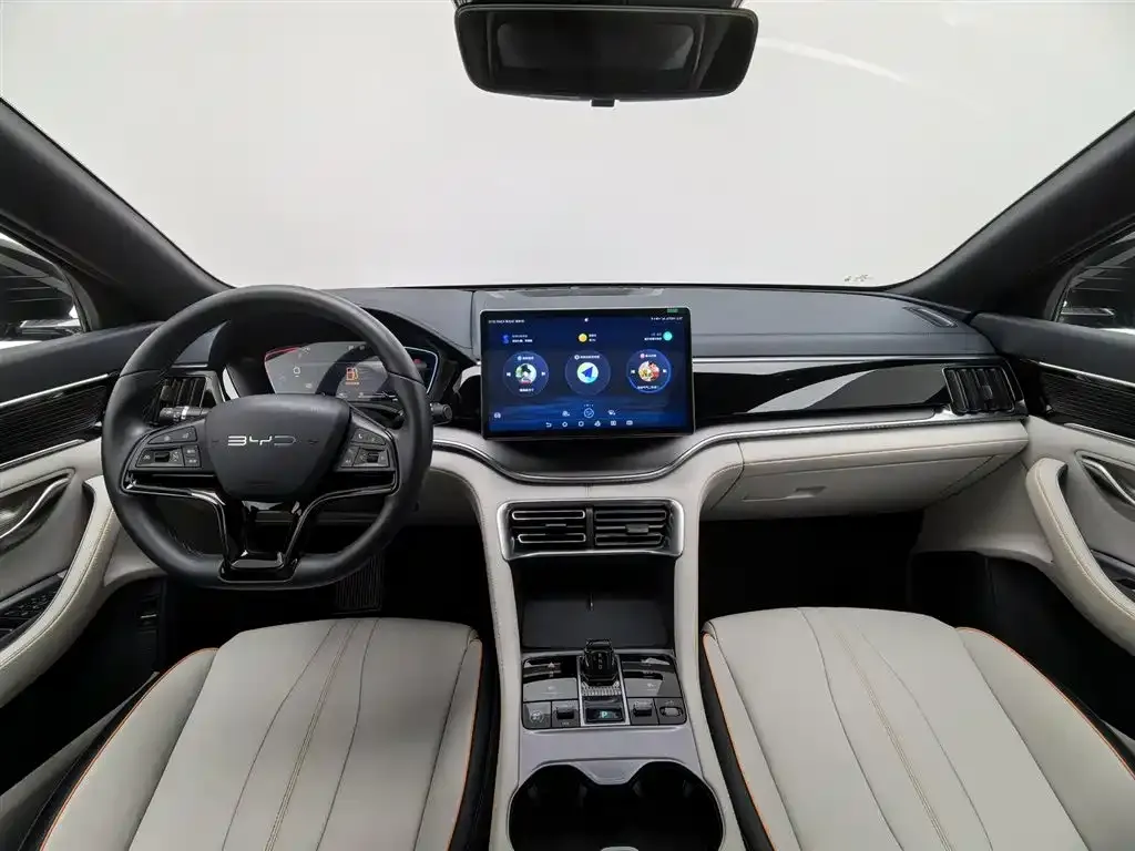 BYD PLUS New Energy 2024 из CN, фото 7