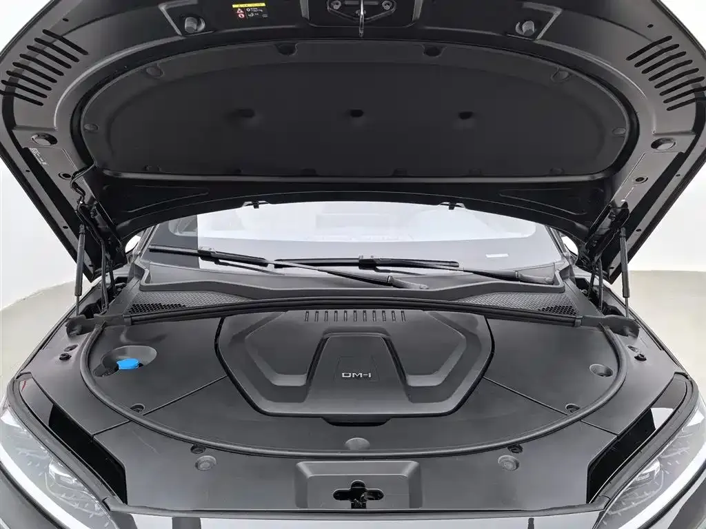 BYD PLUS New Energy 2024 из CN, фото 9