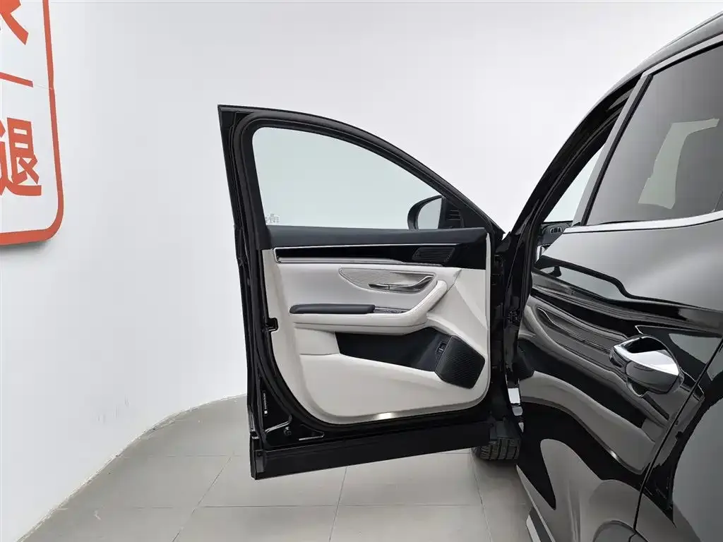 BYD PLUS New Energy 2024 из CN, фото 5