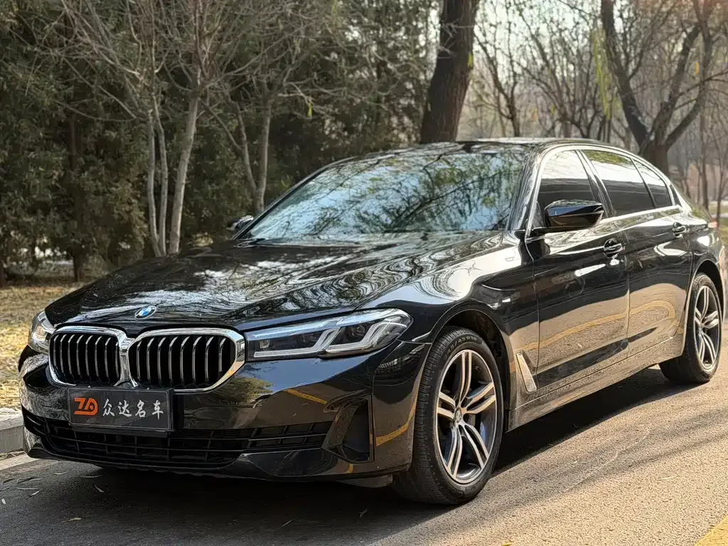 BMW 5 Series 2021 из CN, фото 1