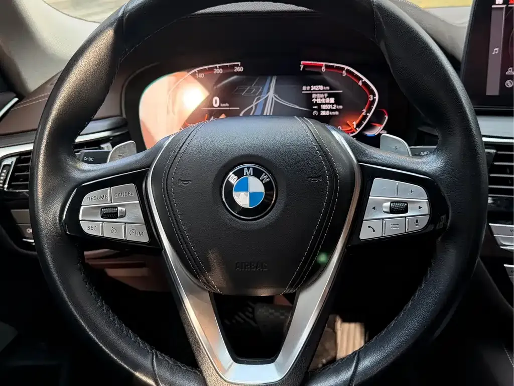 BMW 5 Series 2021 из CN, фото 7