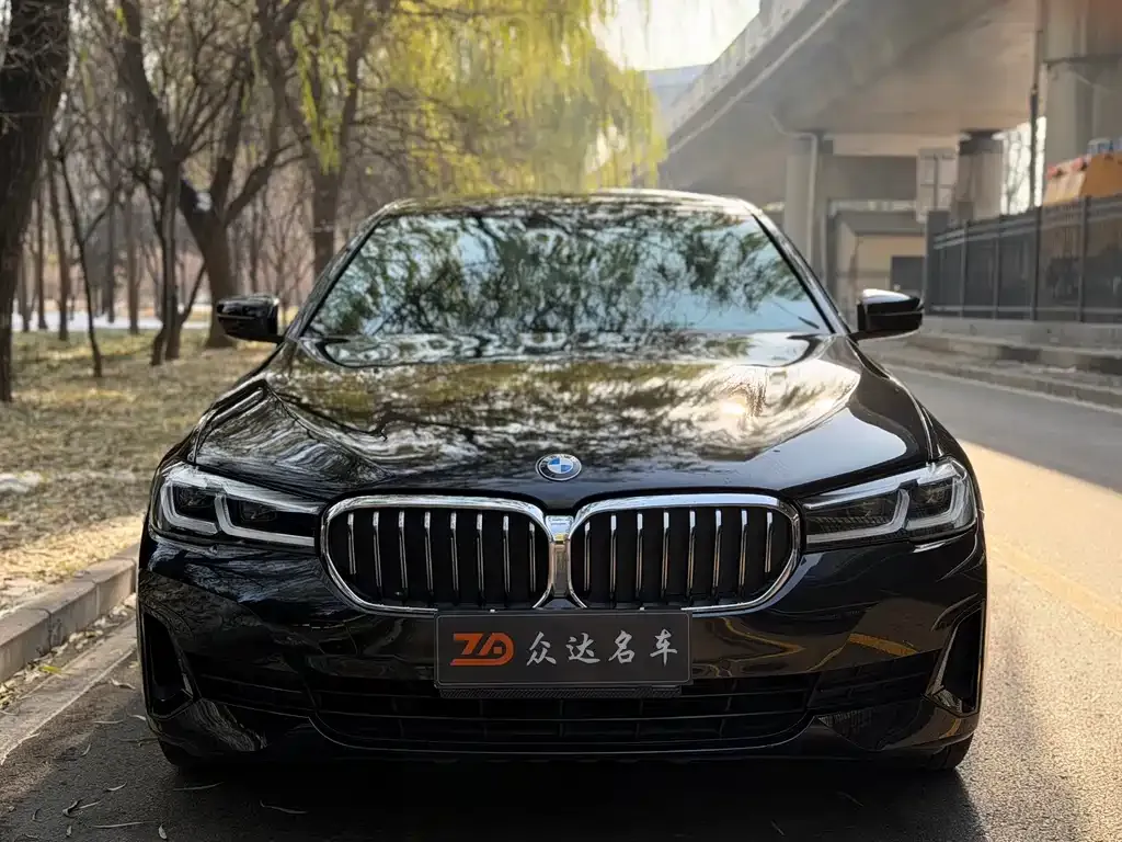 BMW 5 Series 2021 из CN, фото 10