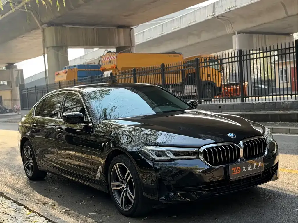 BMW 5 Series 2021 из CN, фото 6