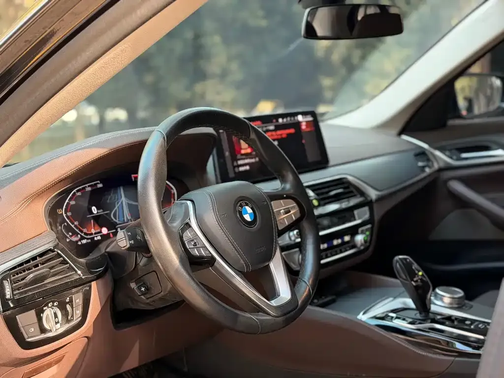 BMW 5 Series 2021 из CN, фото 4