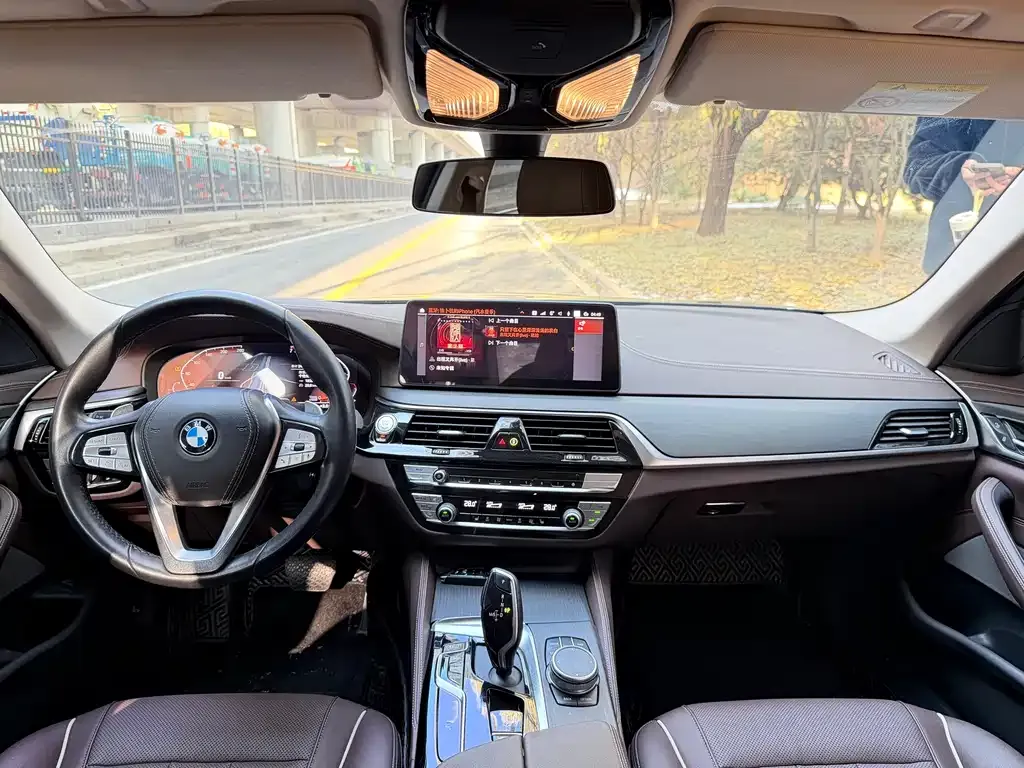 BMW 5 Series 2021 из CN, фото 9