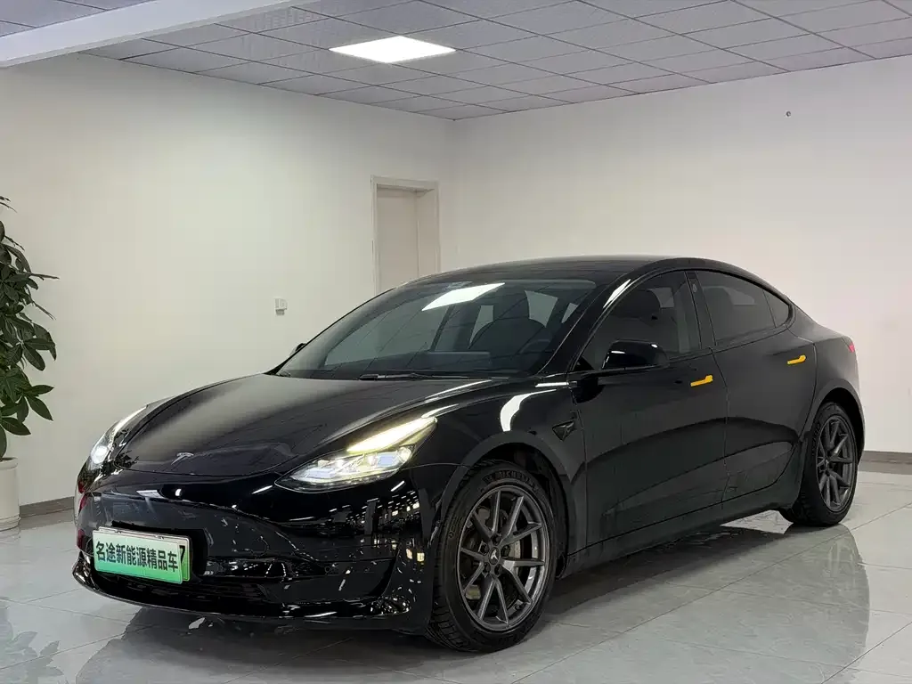 Tesla Model 3 2021 из CN, фото 1
