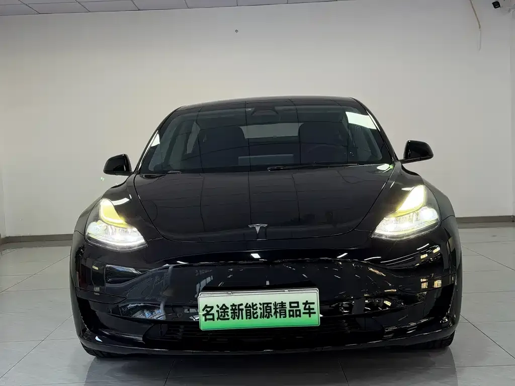 Tesla Model 3 2021 из CN, фото 2