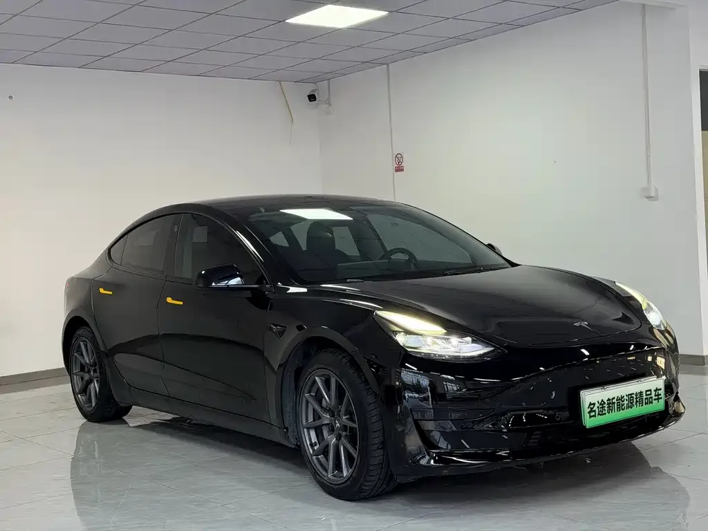 Tesla Model 3 2021 из CN, фото 3