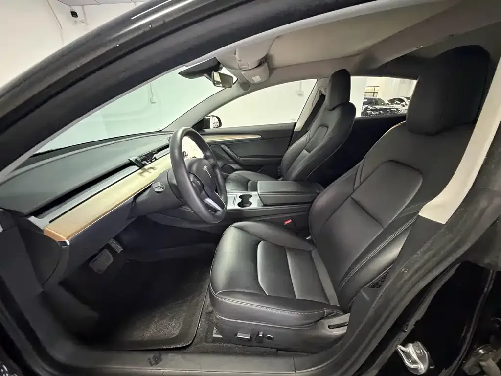 Tesla Model 3 2021 из CN, фото 4