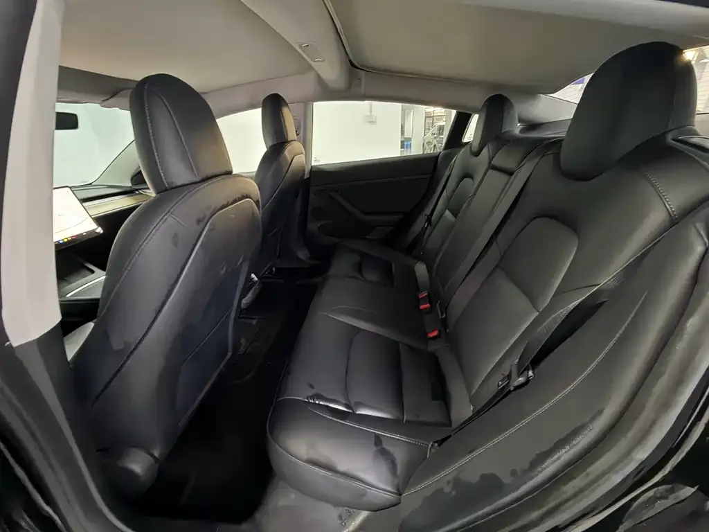 Tesla Model 3 2021 из CN, фото 5