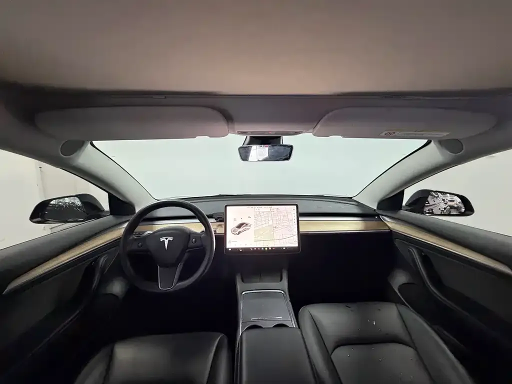 Tesla Model 3 2021 из CN, фото 6