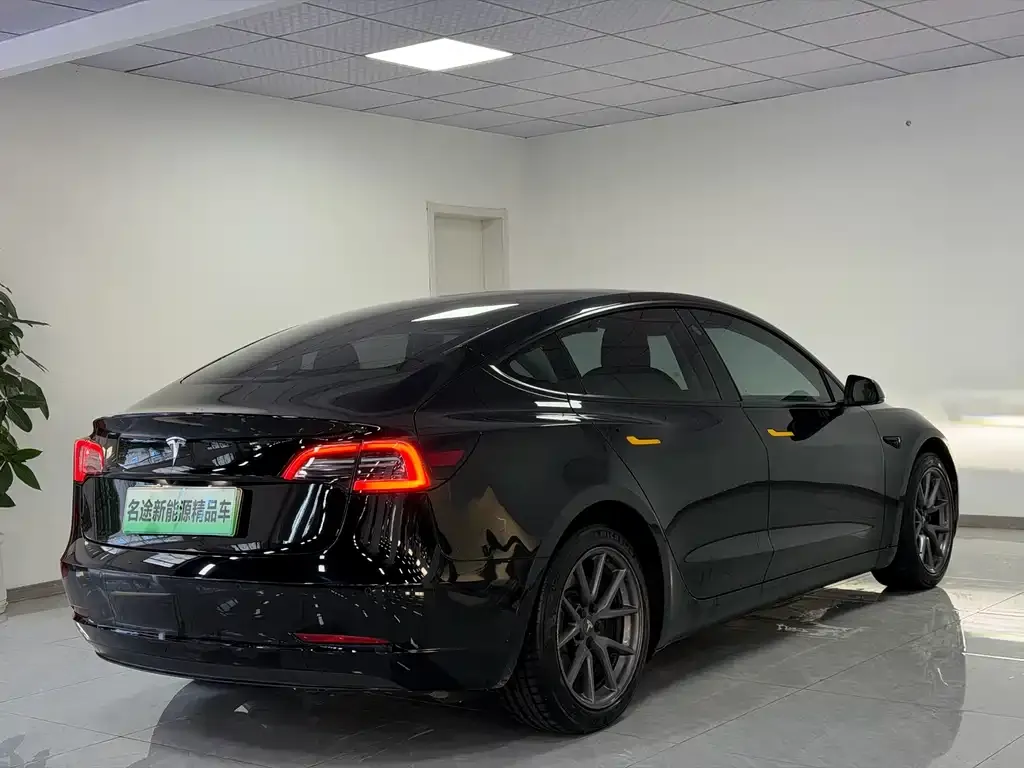 Tesla Model 3 2021 из CN, фото 7