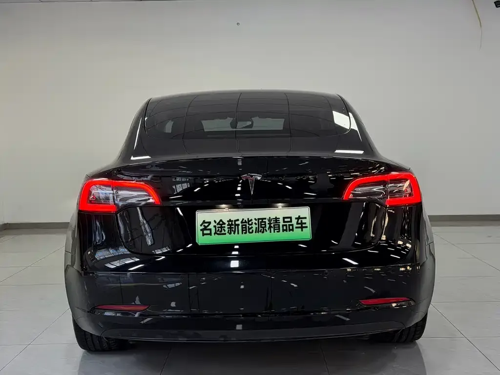 Tesla Model 3 2021 из CN, фото 8